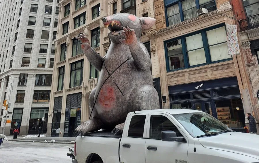 Invasión de ratas en Nueva York