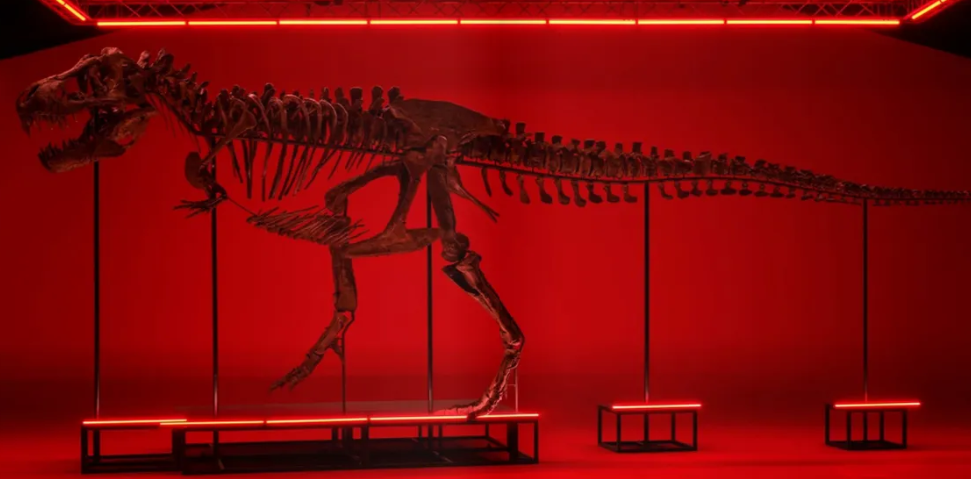 Dinosaurio T Rex