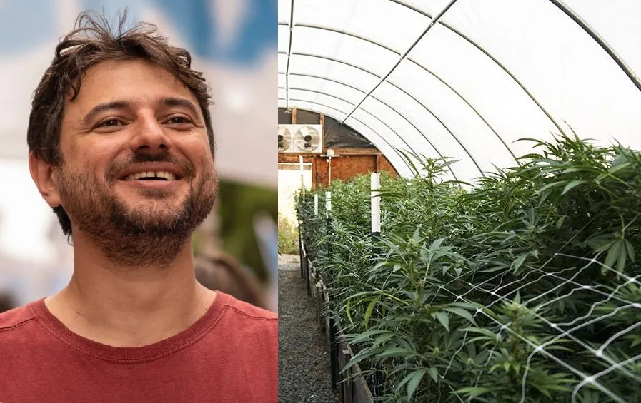 El pueblo donde ganó Grabois y el Estado cultiva cannabis medicinal