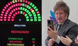 dnu milei senado