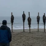 Hallaron cinco cabezas humanas colgadas en una playa